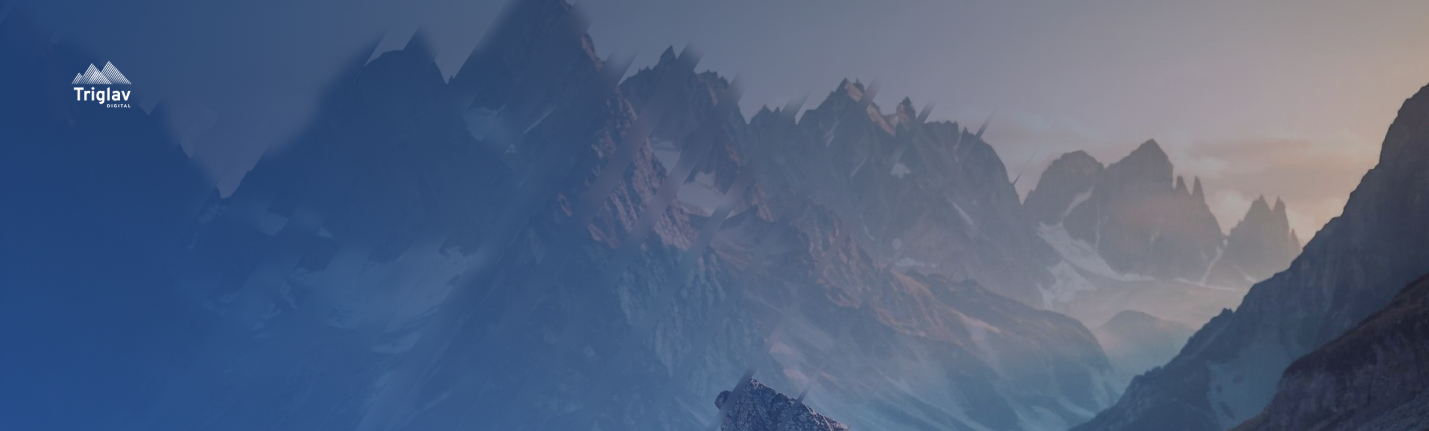 logo banner triglav